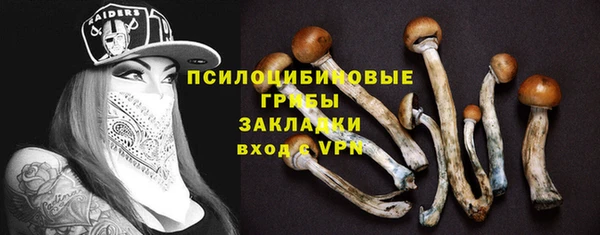 соль ск Алексин