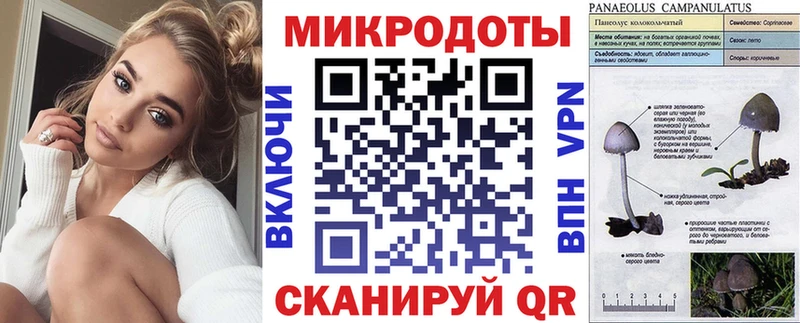 мориарти формула  Снежинск  Галлюциногенные грибы Psilocybe 